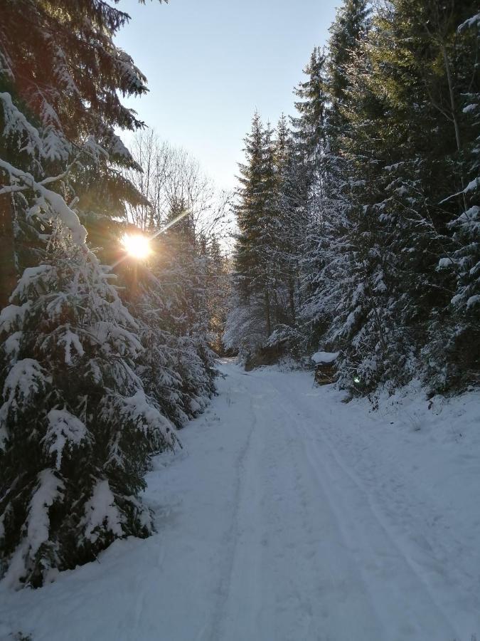 Bio-Bauernhof "Hecherhof" Thiersee Kültér fotó