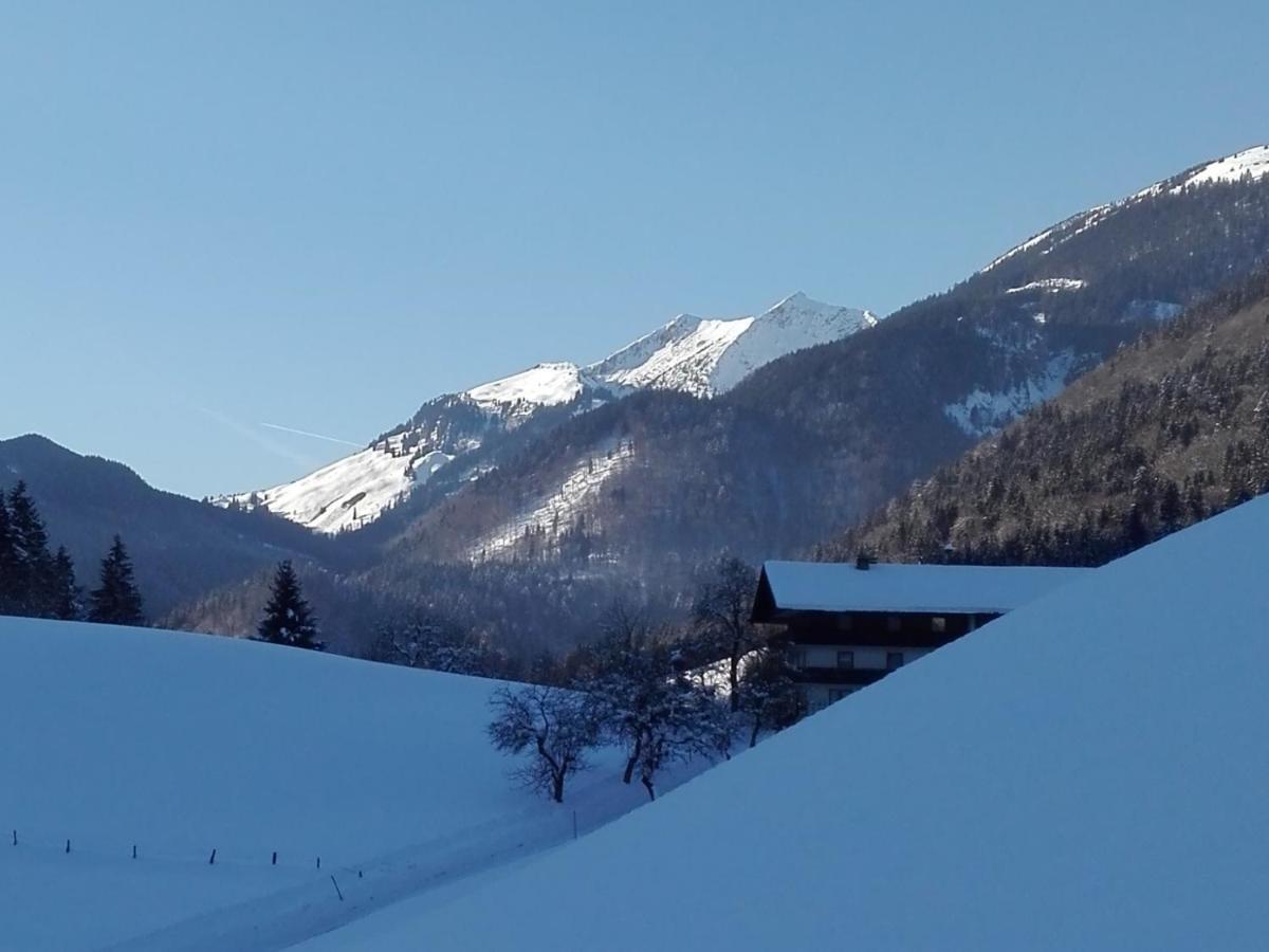 Bio-Bauernhof "Hecherhof" Thiersee Kültér fotó