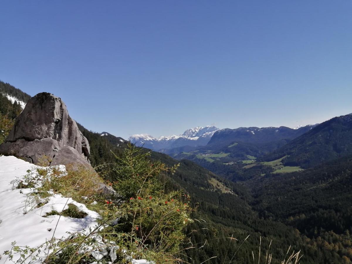 Bio-Bauernhof "Hecherhof" Thiersee Kültér fotó