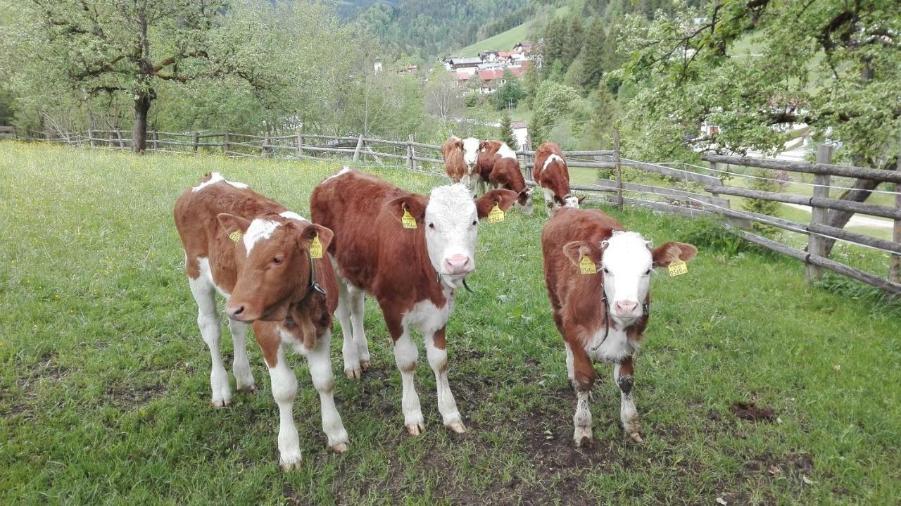 Bio-Bauernhof "Hecherhof" Thiersee Kültér fotó