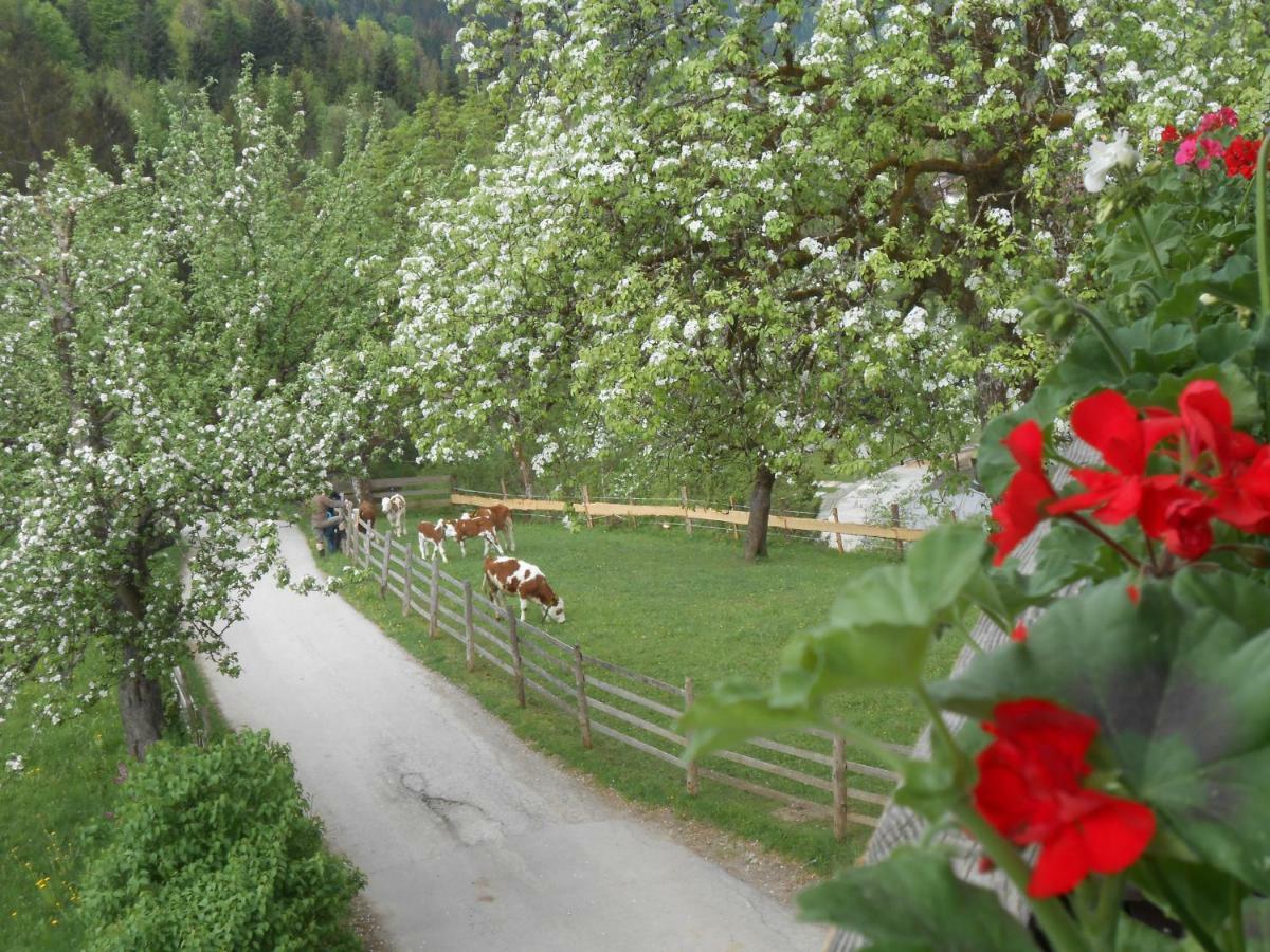 Bio-Bauernhof "Hecherhof" Thiersee Kültér fotó
