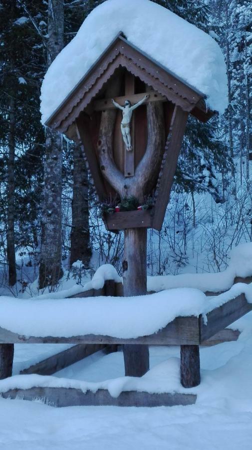 Bio-Bauernhof "Hecherhof" Thiersee Kültér fotó