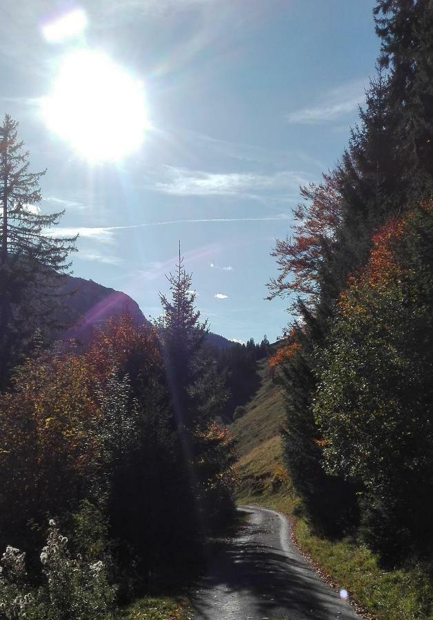 Bio-Bauernhof "Hecherhof" Thiersee Kültér fotó
